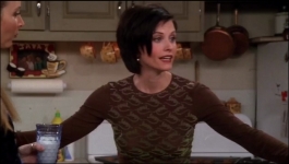friends - Season 04 Episode 13